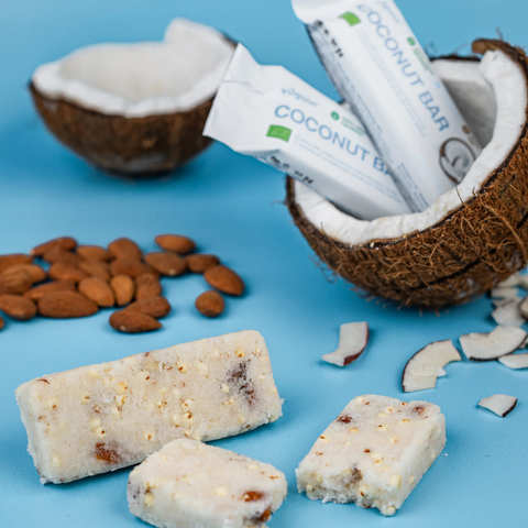 Vilgain Organic Coconut Bar